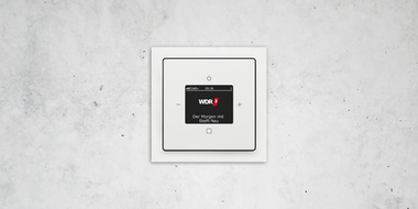 Busch-Radio DAB+ bei Elektro Raab GmbH & Co.KG in Leutershausen